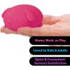 Schylling NeeDoh Funky Pups – Squishy Sensory Toy – Soft Dough Filling – Ages 3 and Up – Color May Vary; One Dog Per Pack