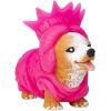 Party Animals, Rave Puppies, Neon Costume, Schylling, One Per Orden, Random(Small)