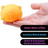 Schylling Needoh Wild Cats Fuzz Ball – Sensory Squeeze Toy – Colors May Vary