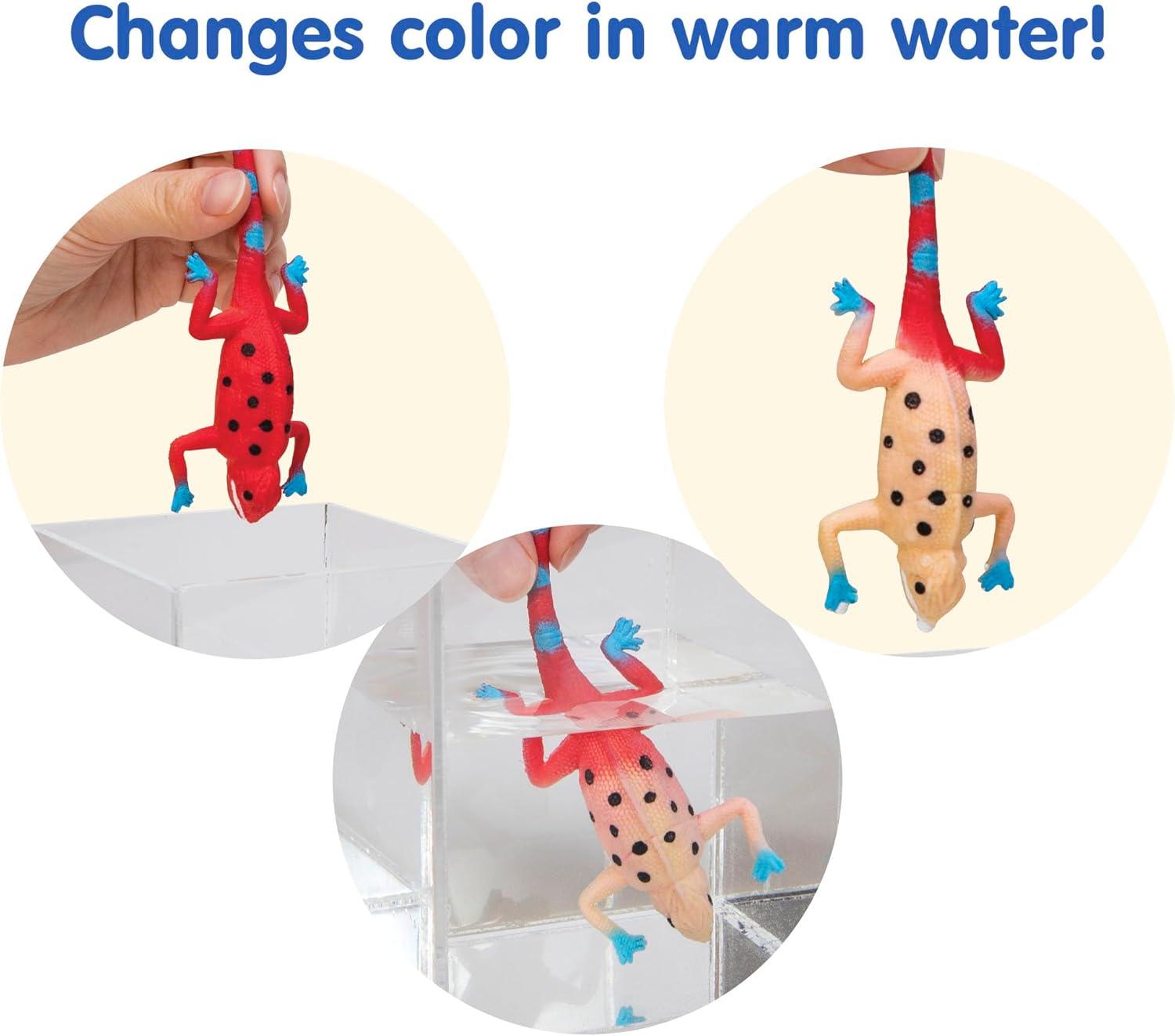 image:imageSchylling Color Changing Revealeons Toy 1 EA