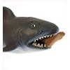 Schylling SC Chomp-Shark, Assorted Designs and Colours